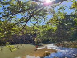 Chácara para Venda em Bela Vista de Goiás - 3
