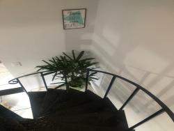 Apartamento para Venda em Aparecida de Goiânia - 5