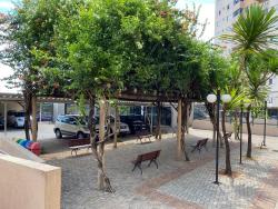 Apartamento para Venda em Aparecida de Goiânia - 5